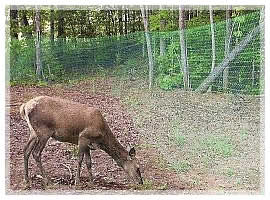 deer netting
